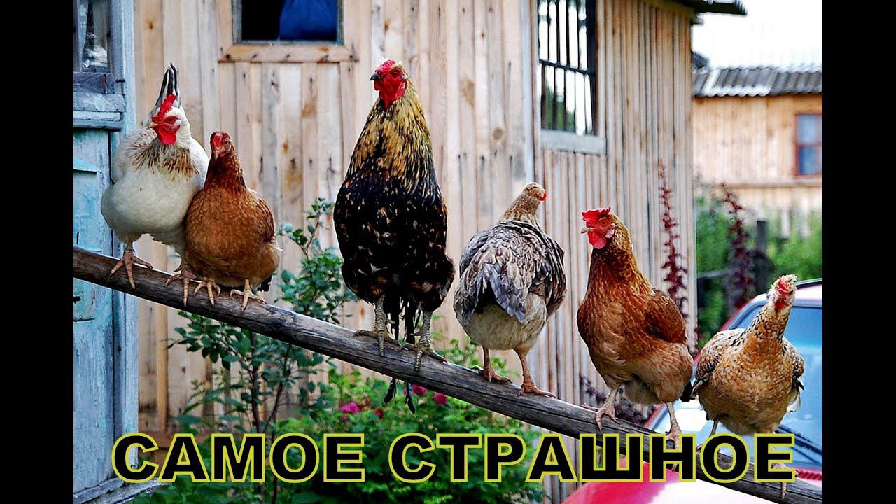 Самое страшное смотреть онлайн