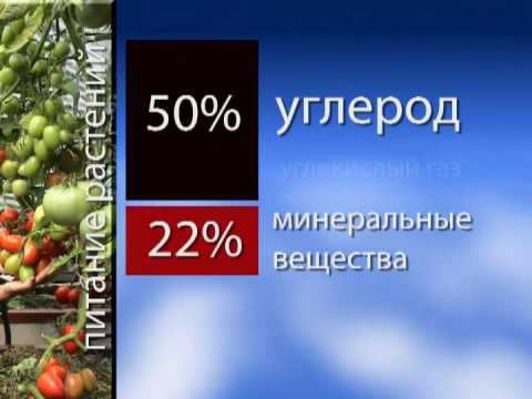 5_Питание растений смотреть онлайн