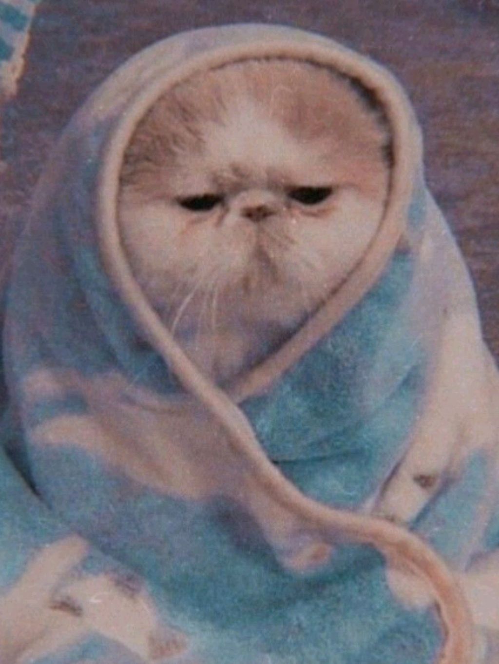 террария смотреть онлайн