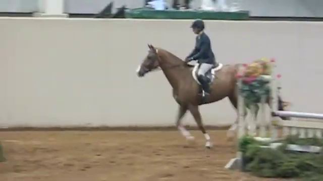 Alezzio 2nd year green round + handy смотреть онлайн