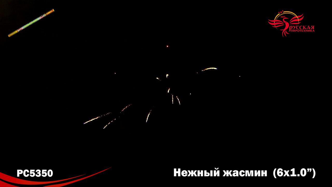РС5350 Римская свеча "Нежный жасмин" (1,0"х6) 1/12/4 смотреть онлайн