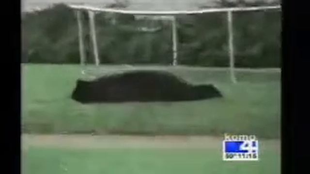 Bear on a trampoline смотреть онлайн