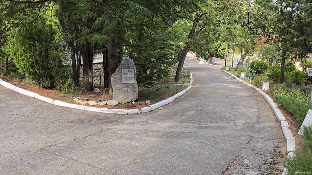 Территория санатория «Горный» в Курпатах смотреть онлайн