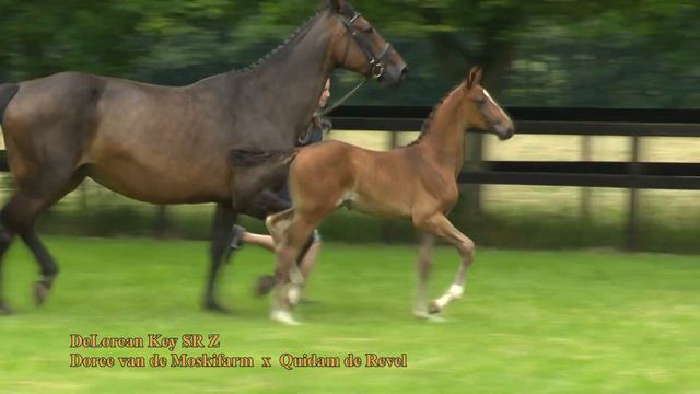 9 DeLorean Key SR Z смотреть онлайн