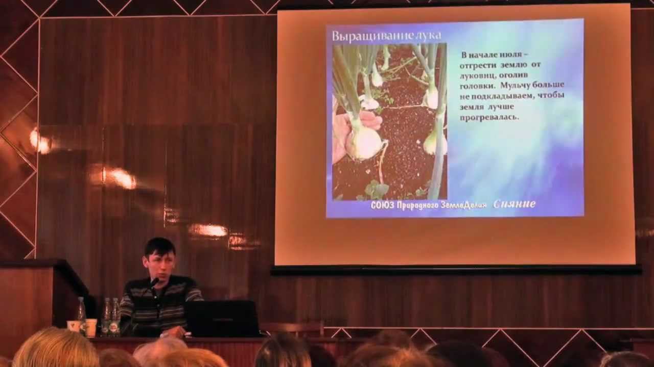 Выращивание лука из семян смотреть онлайн