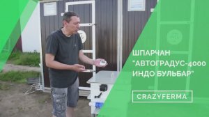 ⚡ГОРЯЧИЙ ОЩИП крупной птицы! 🎥Видео-обзор НОВОГО ШПАРЧАНА _АВТОГРАДУС 4000 ИНДО БУЛЬБАР