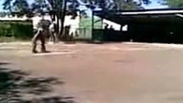 Кидаем палки, разминаем руки! Как весело! смотреть онлайн
