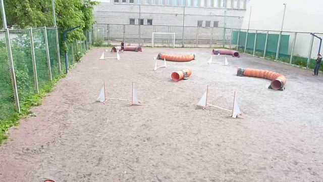 Д0 Small (2 трасса) - Андреева Елена и метис Ириска смотреть онлайн