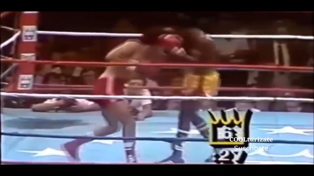Top 3 Boxeadores INVICTOS DESTRUIDOS por SALVADOR SÁNCHEZ | Historias смотреть онлайн