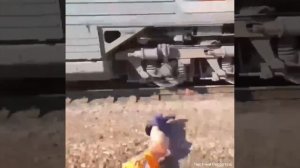 Поезд сбил манекена