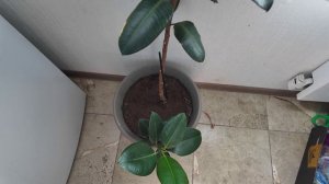 Находки для Авито. Август 2024