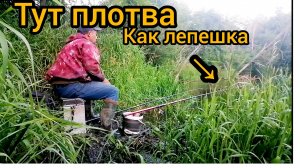 Рыбалка на лесной реке удалась