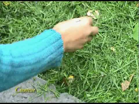 мульч 6 output смотреть онлайн