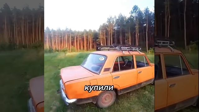 ЖИГУЛИ В КВАРТИРЕ смотреть онлайн