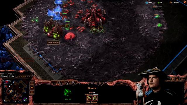 StarCraft 2 Zerg vs Zerg change of plans. смотреть онлайн