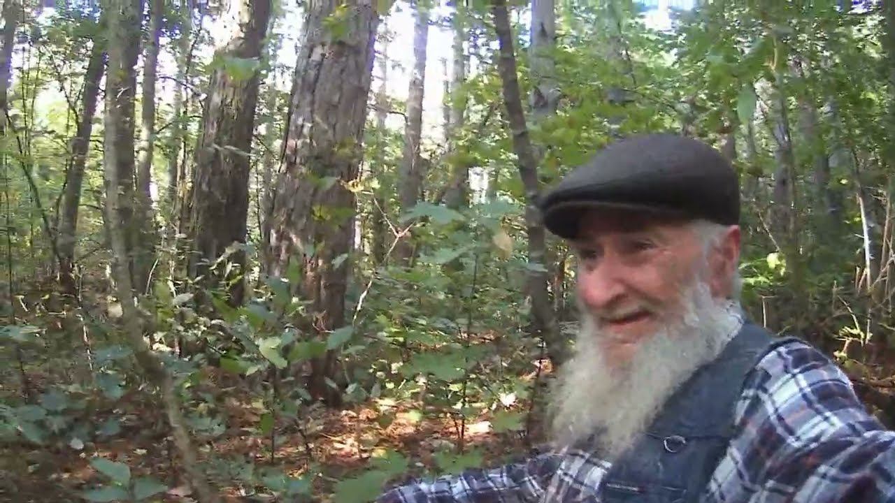 Проверка нор и грибов смотреть онлайн