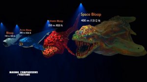 The Evolution and Size Comparison of The Bloop