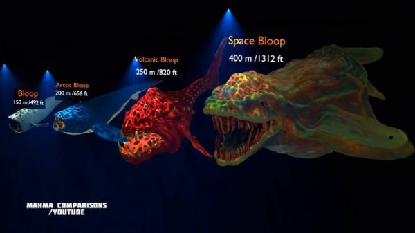 The Evolution and Size Comparison of The Bloop