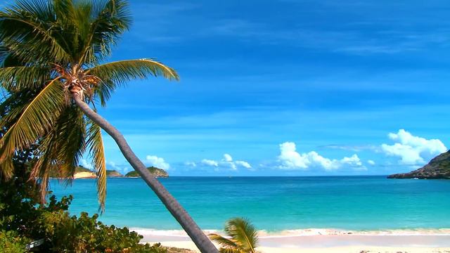 Calming Sea - Relaxing 2 Hour - Birds Singing