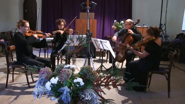 Musica Coronensis 2016 - Medalion Paul Richter смотреть онлайн