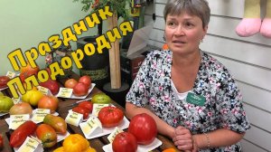 Урожайные томаты в любую погоду