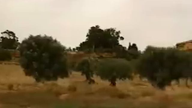 Maffian och Stjarnan La mafia e la Stidda con il giornalista Franco Castaldo смотреть онлайн