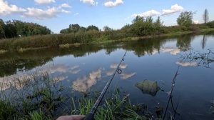 Вечером на щуку! Щука на спиннинг! Миша меня обловил как всегда