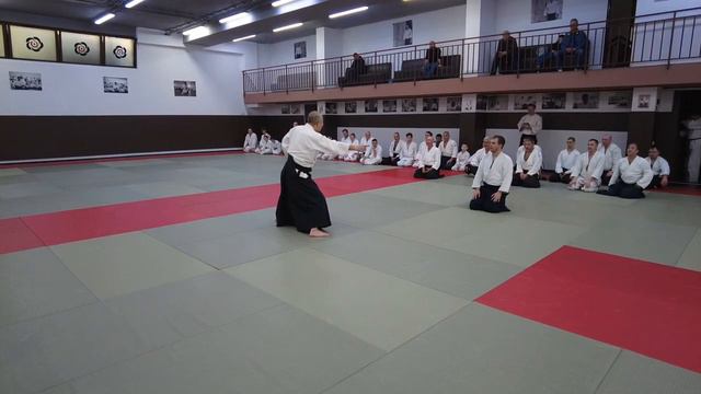Хироюки Сакураи. Международный семинар айкидо. Клуж-Напока, Румыния (2023) - 3 Семинар
