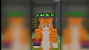 разноцветные коты 4 сезон