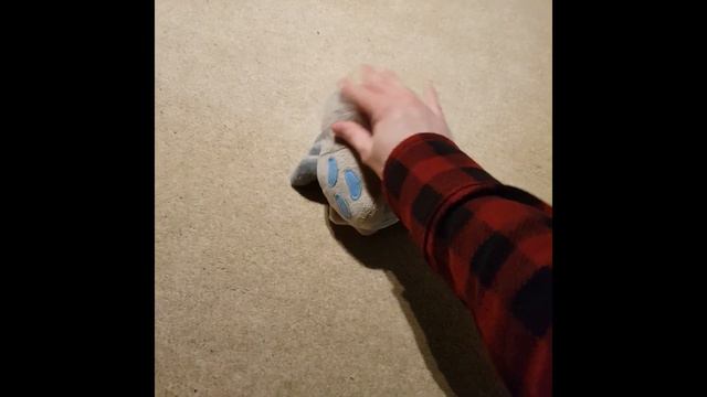 Pet the Lootbug (Good Ending) смотреть онлайн