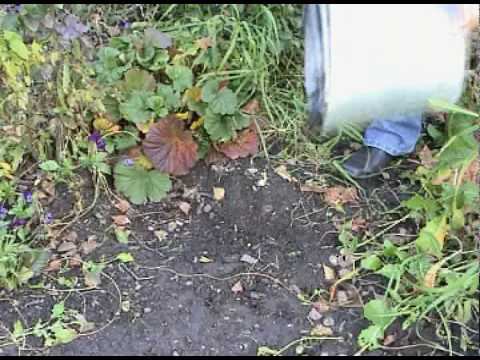 My Video 06 20051027 17 08 38 output смотреть онлайн