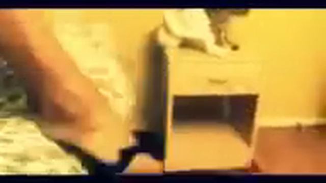 Beautiful Girl Stripped And Fucked Hard ! 18+