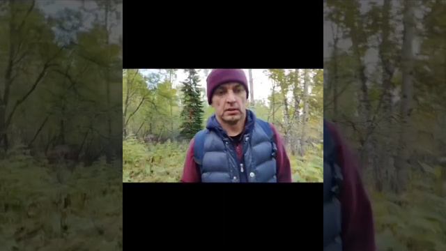 Почему я перестал Работать в 46 лет?! смотреть онлайн