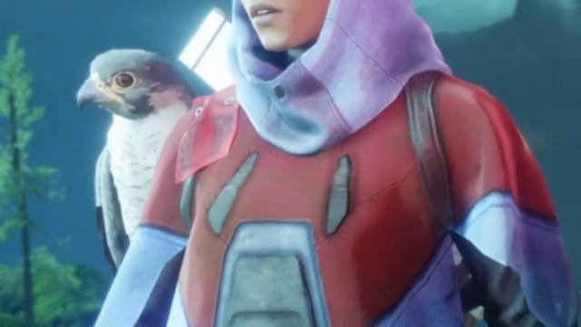 Destiny 2 Meme.mp4 смотреть онлайн