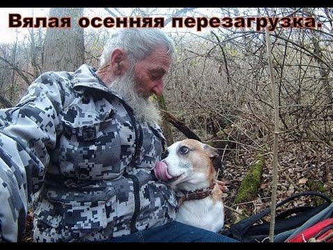 Вялая осенняя перезагрузка смотреть онлайн