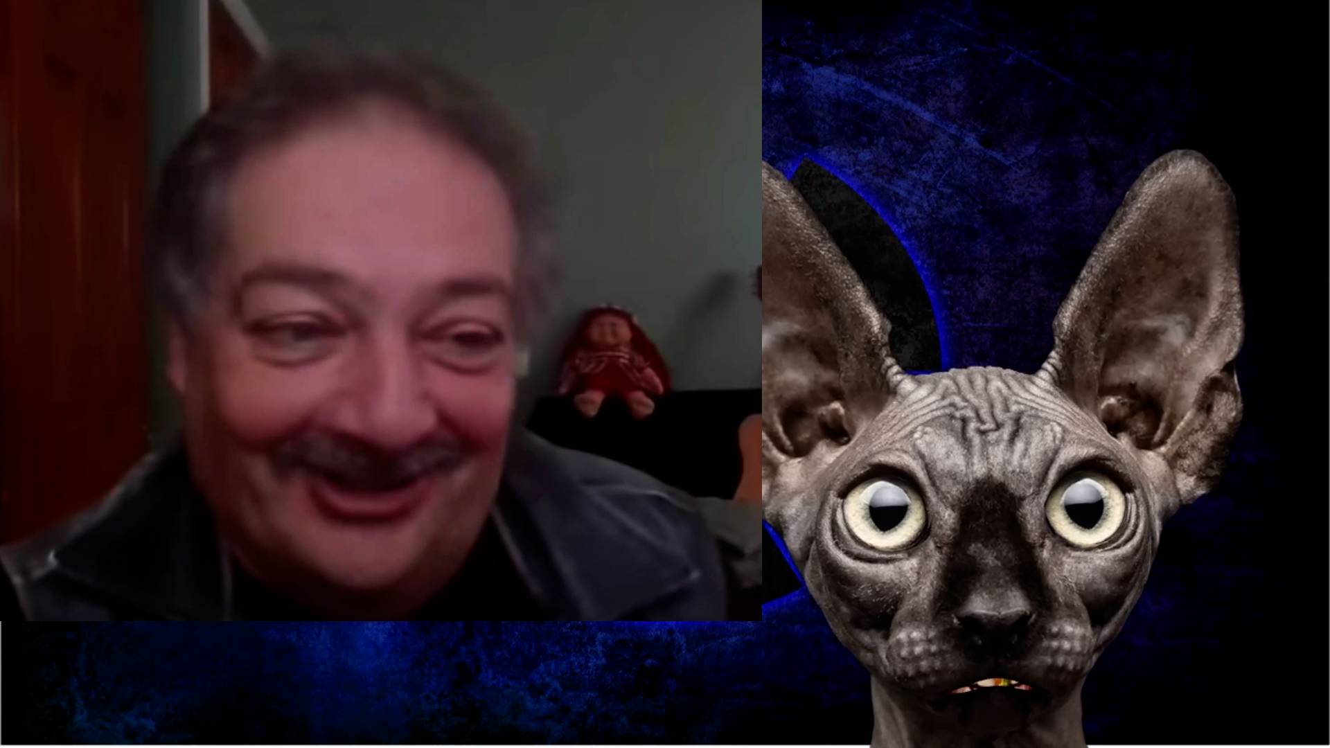 Сводки с фронтОв с Котом Костяном от 27.09.24 смотреть онлайн