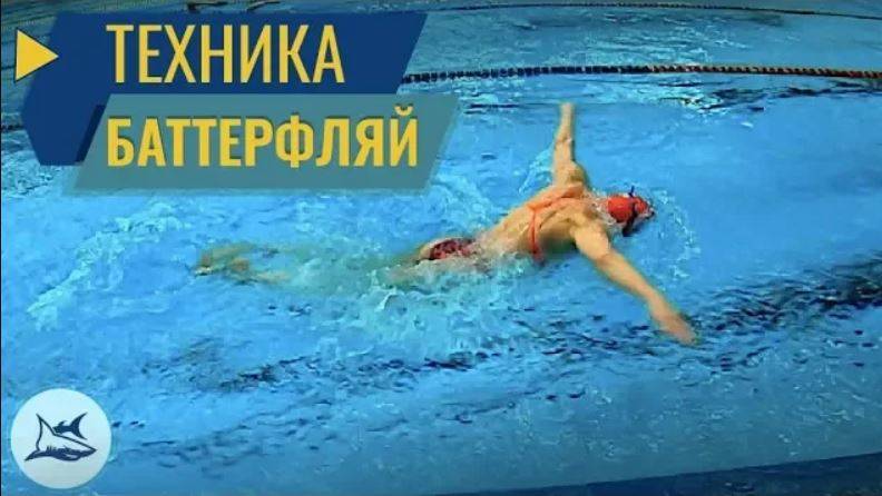 Баттерфляй. Разбор техники плавания. Сравнение с Олимпийской Чемпионкой смотреть онлайн