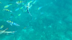 Пхукет, отпуск февраль 2019👌👌👌