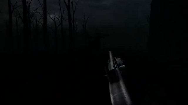 BacKWooDS V1016 смотреть онлайн