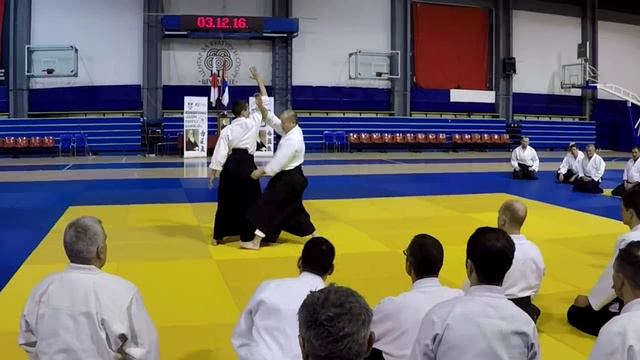 Хироюки Сакураи. Семинар айкидо. Белград, Сербия (2016; ч 1)