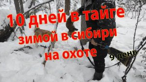 10 дней в тайге зимой на охоте в Сибири 9 день
