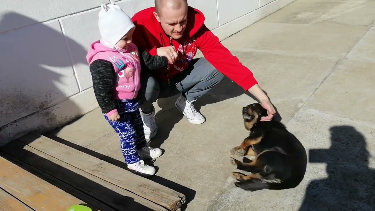 КУДА УХОДИТ ДЕТСТВО? смотреть онлайн