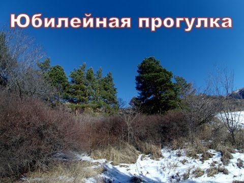 Юбилейная прогулка смотреть онлайн