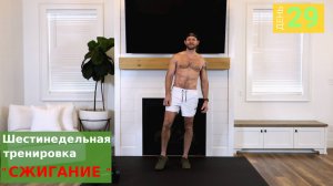 «Сжигание» | День 29: ПОЛНАЯ ТРЕНИРОВКА ВЕРХНЕЙ ЧАСТИ ТЕЛА [Комплексные упражнения]