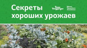 Секреты хороших урожаев