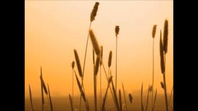 Lucky Dube - Reap what you sow смотреть онлайн