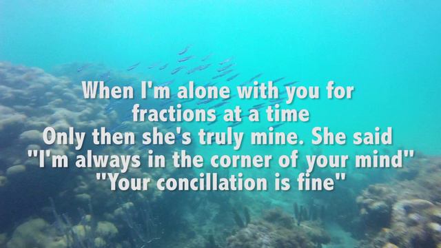 Last Dinosaurs- Stream (Lyrics Video) смотреть онлайн