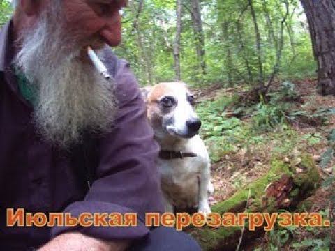 Июльская перезагрузка смотреть онлайн