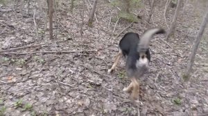 Пробежались ПО ГРИБОЧКИ В ЛЕС и УСТАНОВИЛИ СКРЫТУЮ КАМЕРУ!