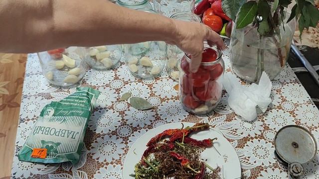 Помидоры 🍅🍅🍅 с остринкой // продолжение 👇// смотреть онлайн